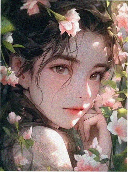 高分纪录片在线观看